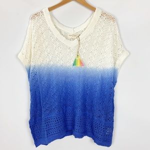 🥀 Final 🥀 Open Weave Dip Dye Blu V Neck Sweater